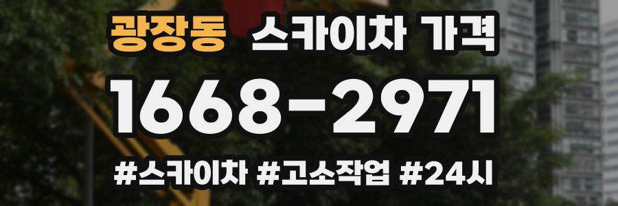 광장동 스카이차 가격