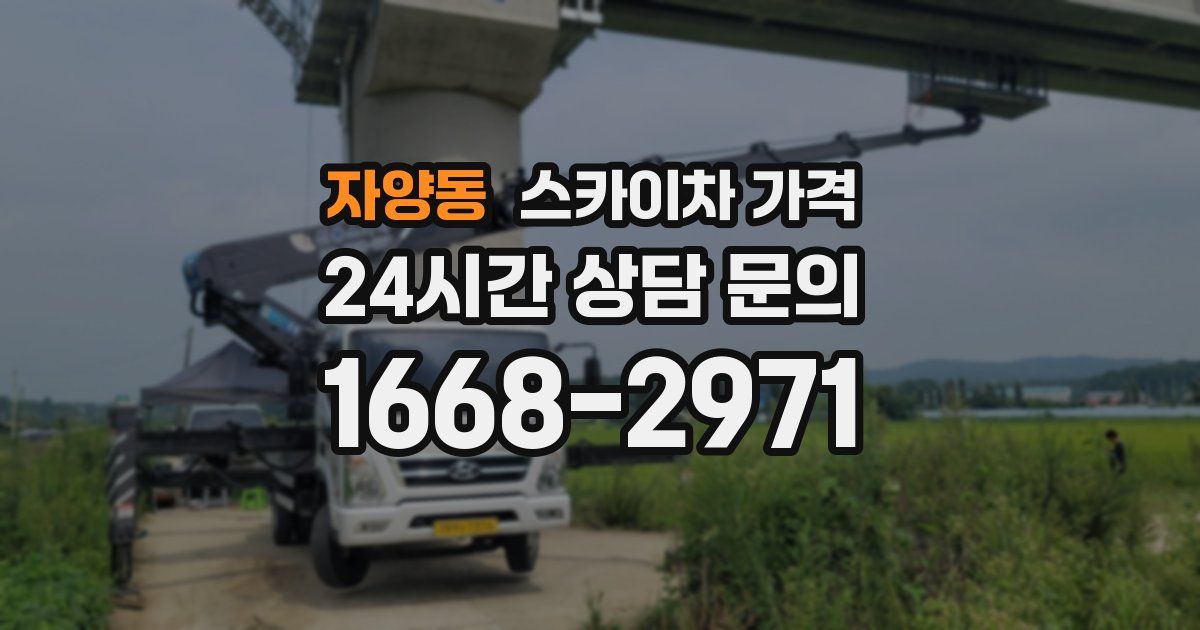 자양동 스카이차 가격