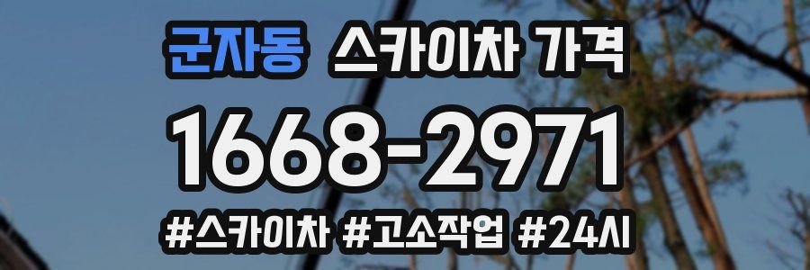 군자동 스카이차 가격