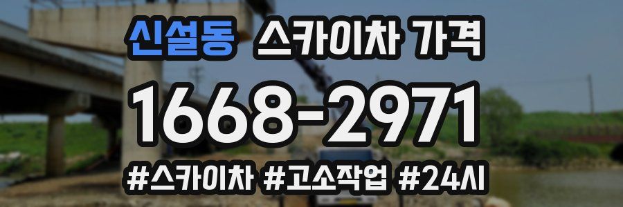 신설동 스카이차 가격