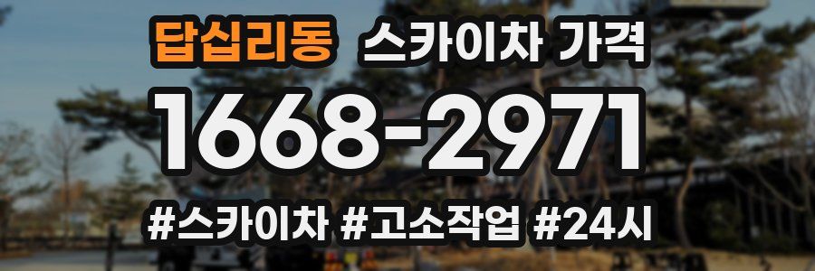 답십리동 스카이차 가격