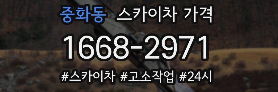 중화동 스카이차 가격