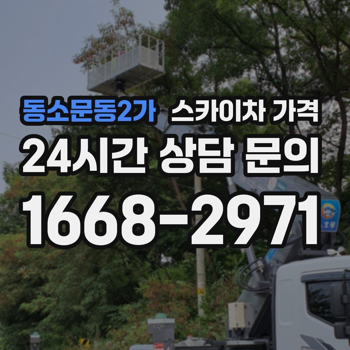 동소문동2가 스카이차 가격 통신선 처짐 정리는 구간 수가 중요합니다