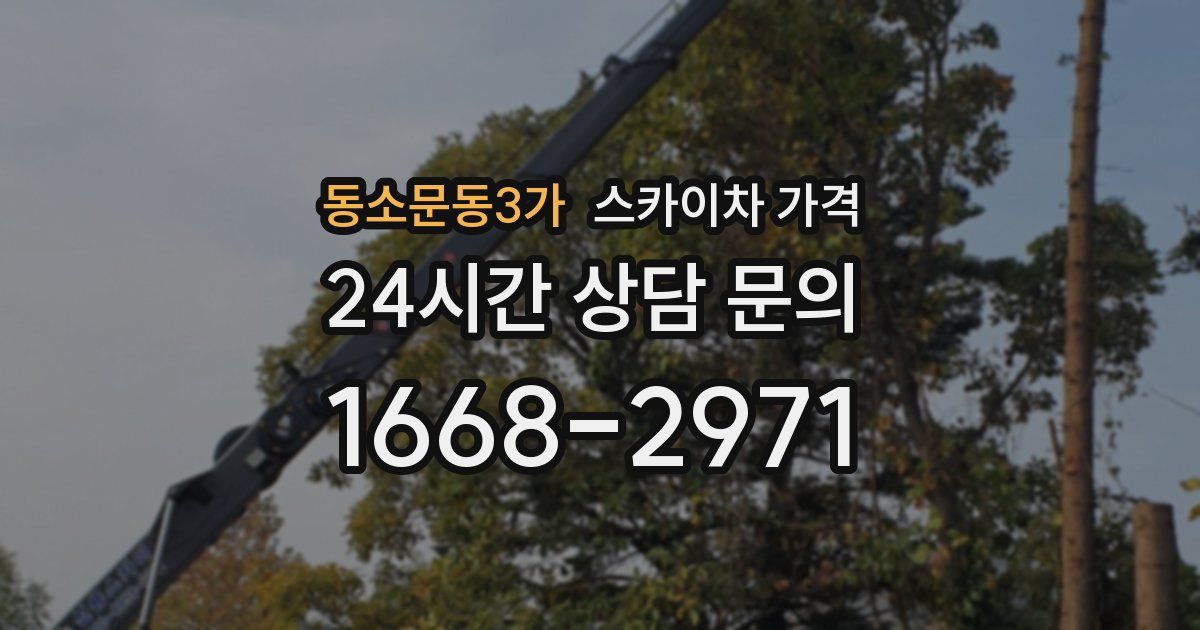 동소문동3가 스카이차 가격