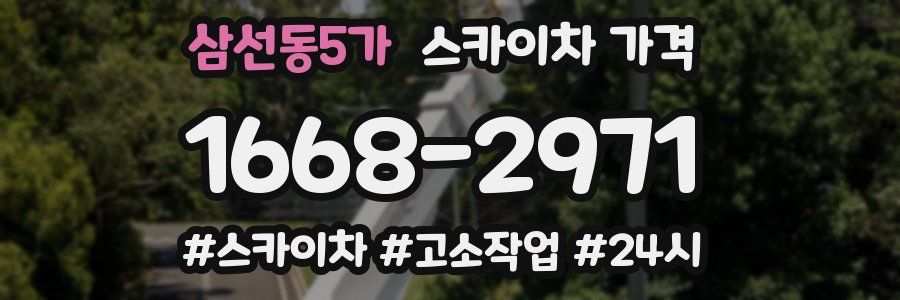 삼선동5가 스카이차 가격