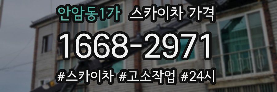 안암동1가 스카이차 가격