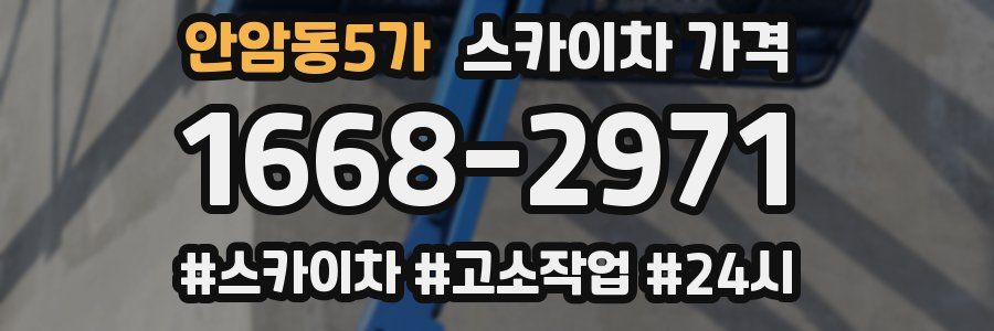 안암동5가 스카이차 가격