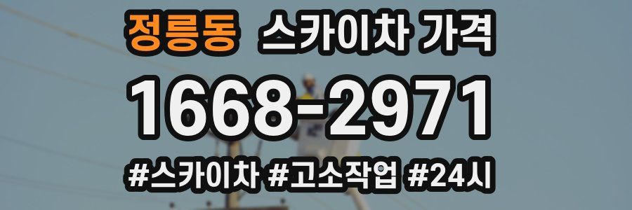 정릉동 스카이차 가격