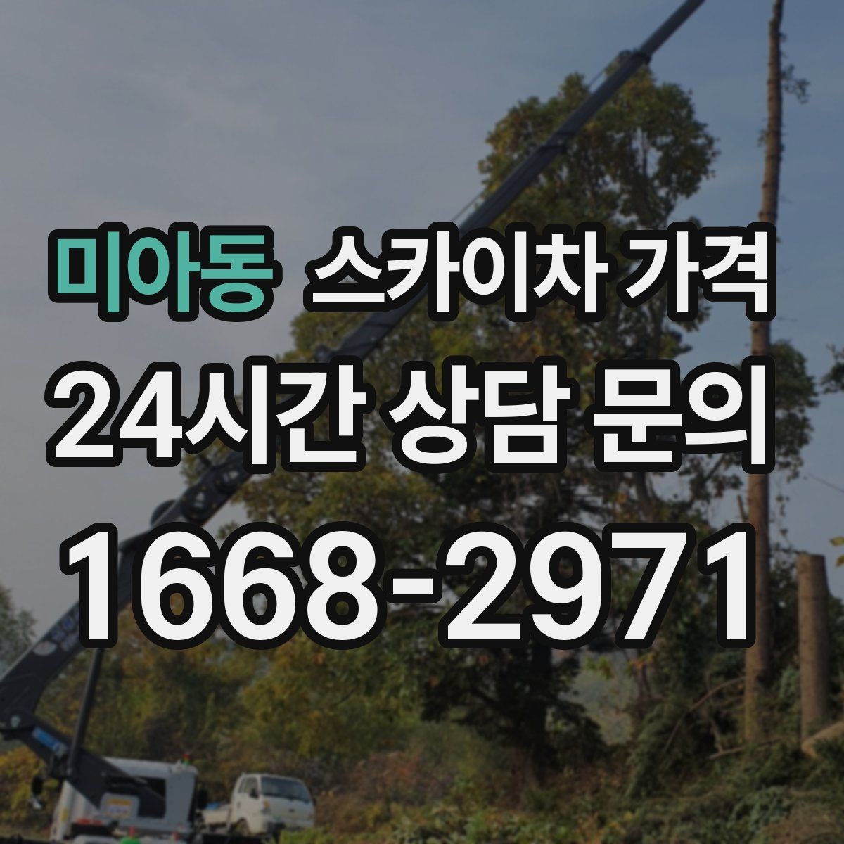 미아동 스카이차 가격 가지치기 작업은 바람이 변수인 이유
