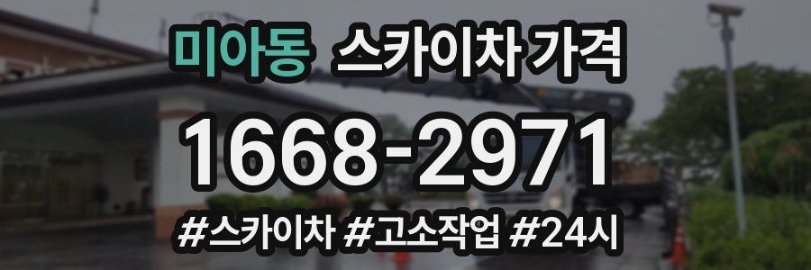 미아동 스카이차 가격