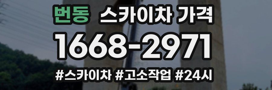 번동 스카이차 가격