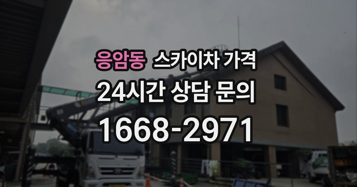 응암동 스카이차 가격