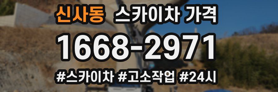 신사동 스카이차 가격