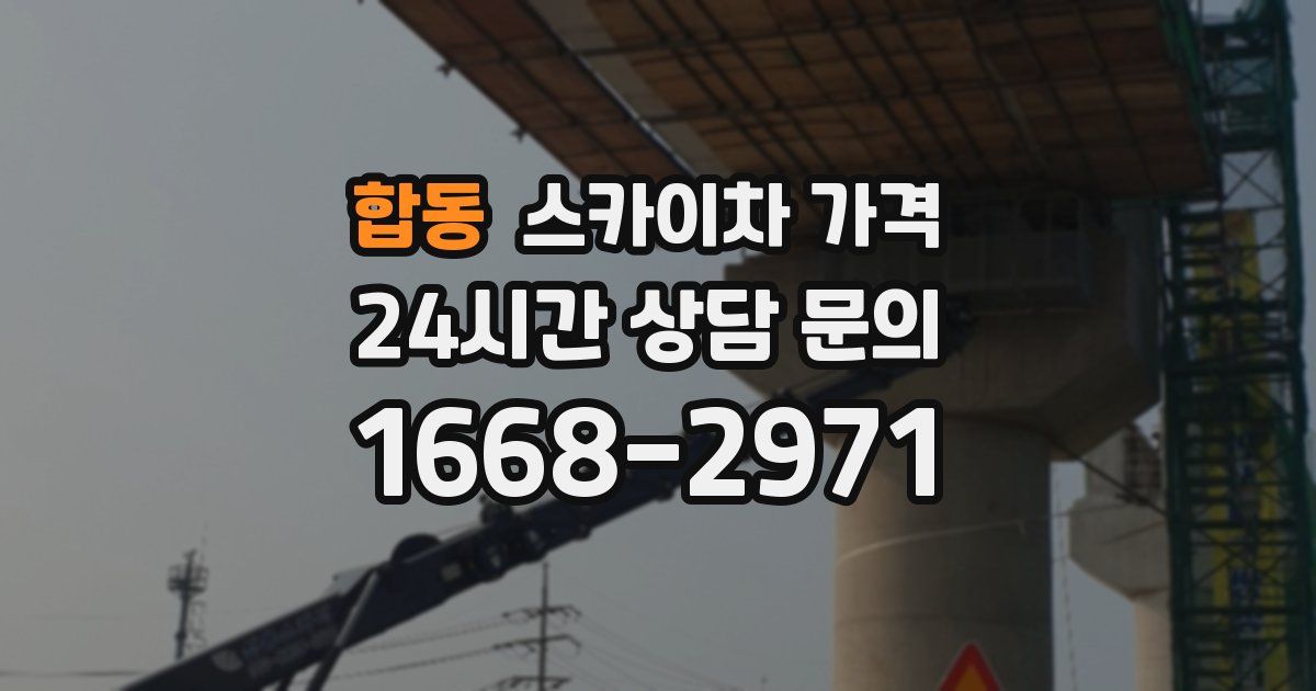 합동 스카이차 가격