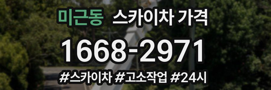 미근동 스카이차 가격