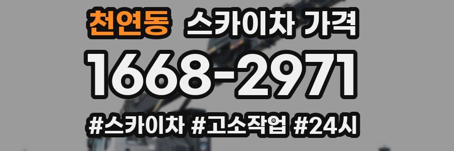 천연동 스카이차 가격