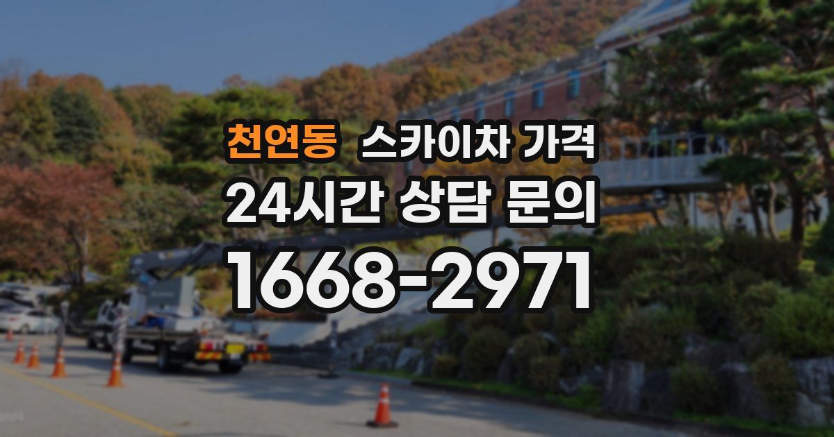 천연동 스카이차 가격