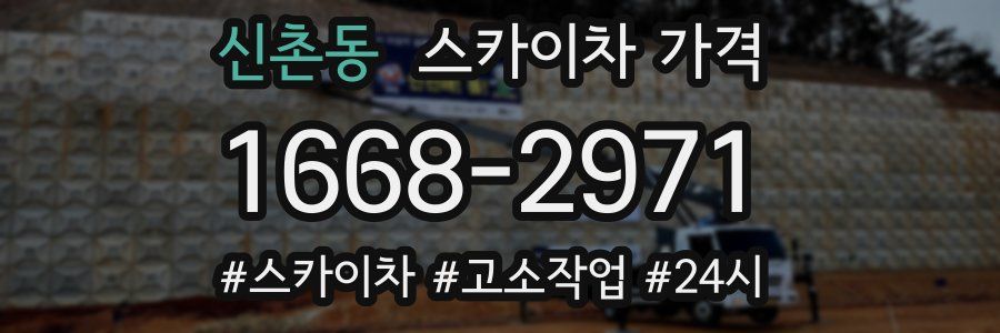 신촌동 스카이차 가격