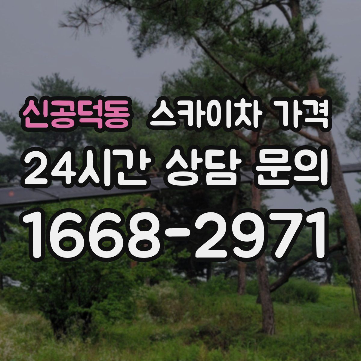 신공덕동 스카이차 가격