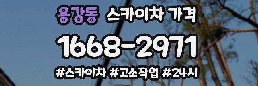 용강동 스카이차 가격