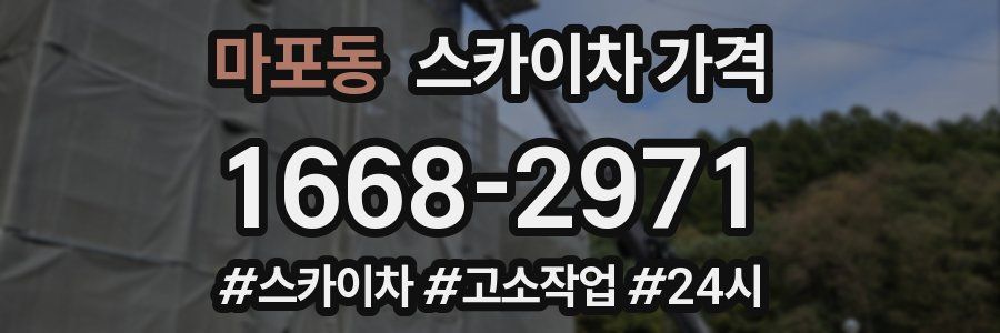 마포동 스카이차 가격