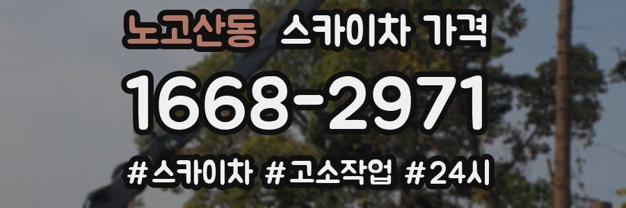 노고산동 스카이차 가격