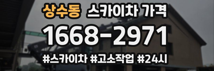 상수동 스카이차 가격