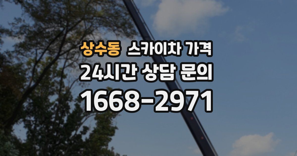 상수동 스카이차 가격