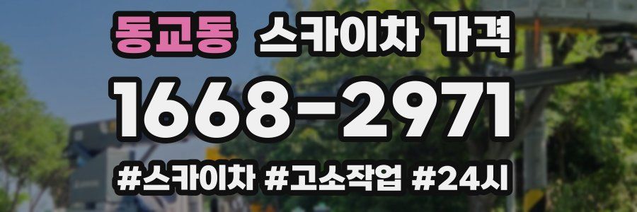 동교동 스카이차 가격