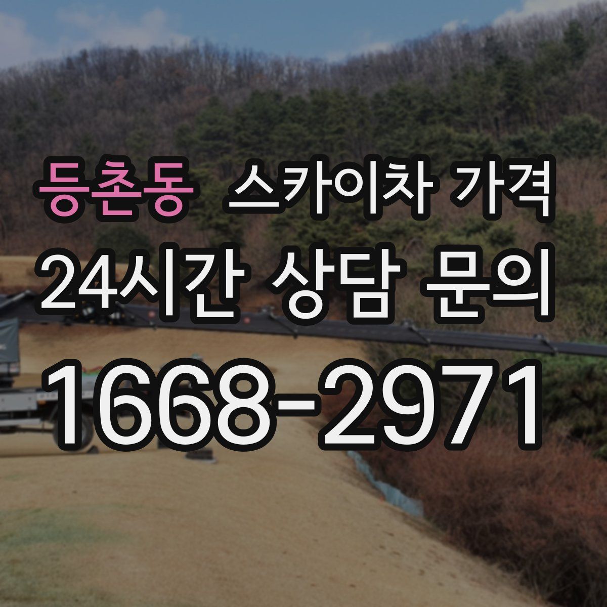 등촌동 스카이차 가격