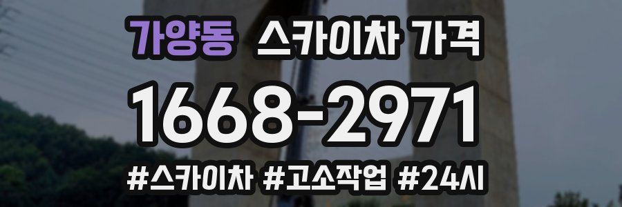 가양동 스카이차 가격