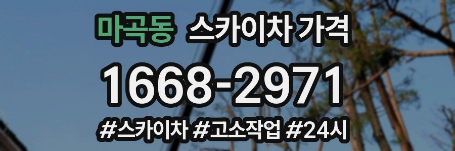 마곡동 스카이차 가격