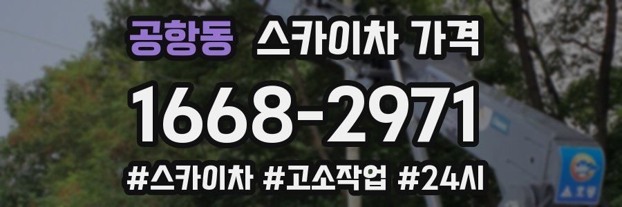 공항동 스카이차 가격