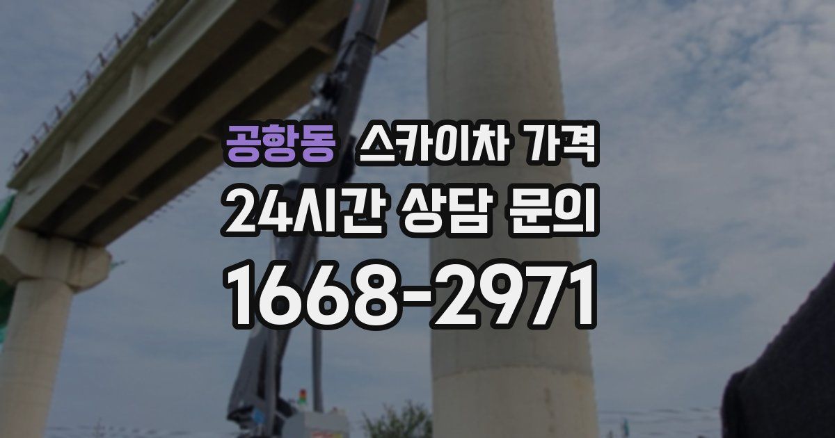 공항동 스카이차 가격