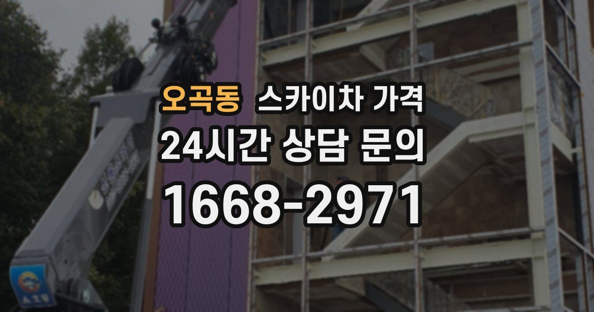 오곡동 스카이차 가격