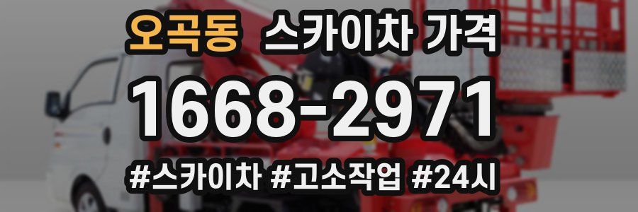 오곡동 스카이차 가격