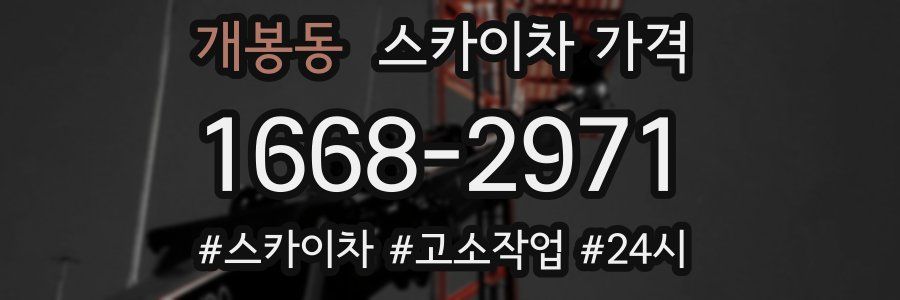 개봉동 스카이차 가격