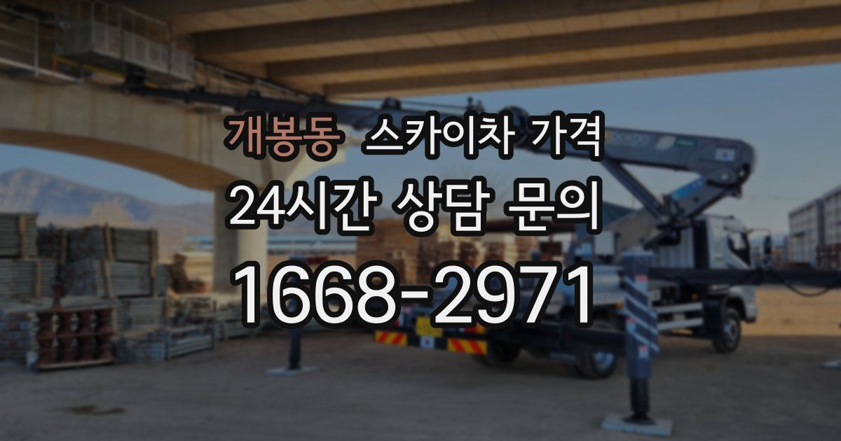 개봉동 스카이차 가격