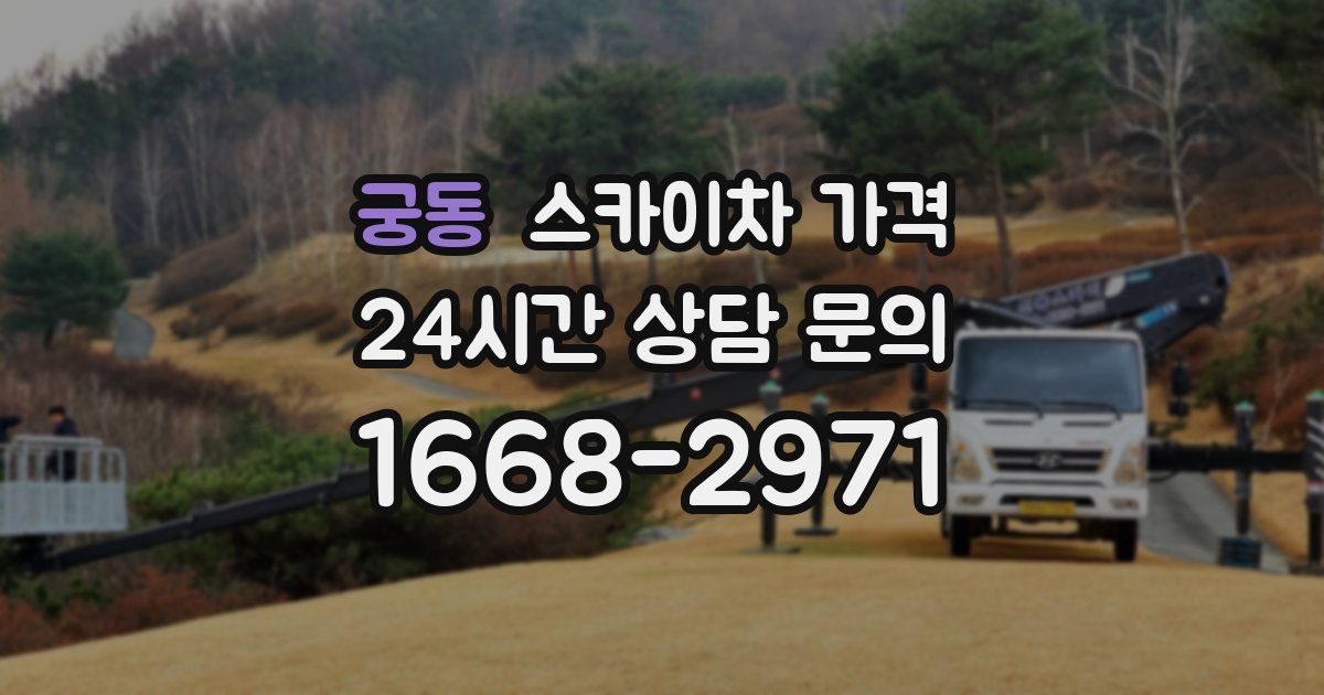 궁동 스카이차 가격