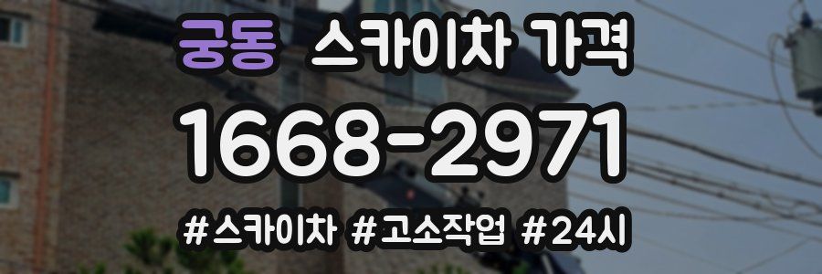 궁동 스카이차 가격