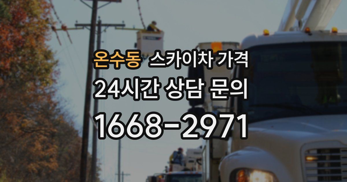 온수동 스카이차 가격