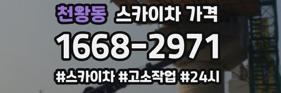 천왕동 스카이차 가격