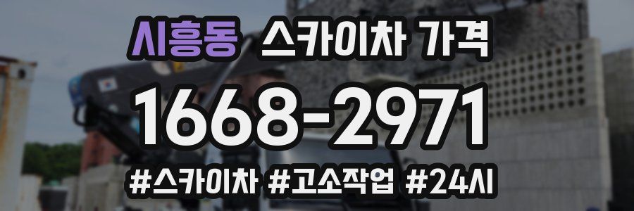시흥동 스카이차 가격