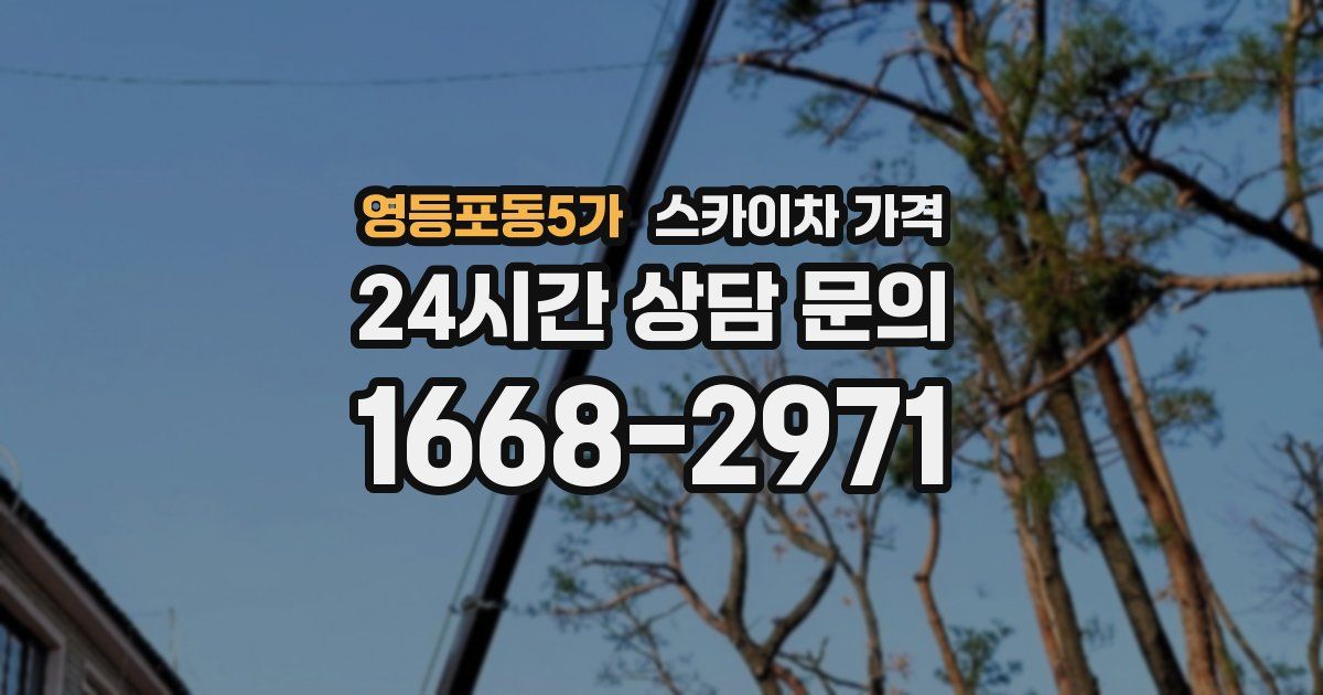 영등포동5가 스카이차 가격