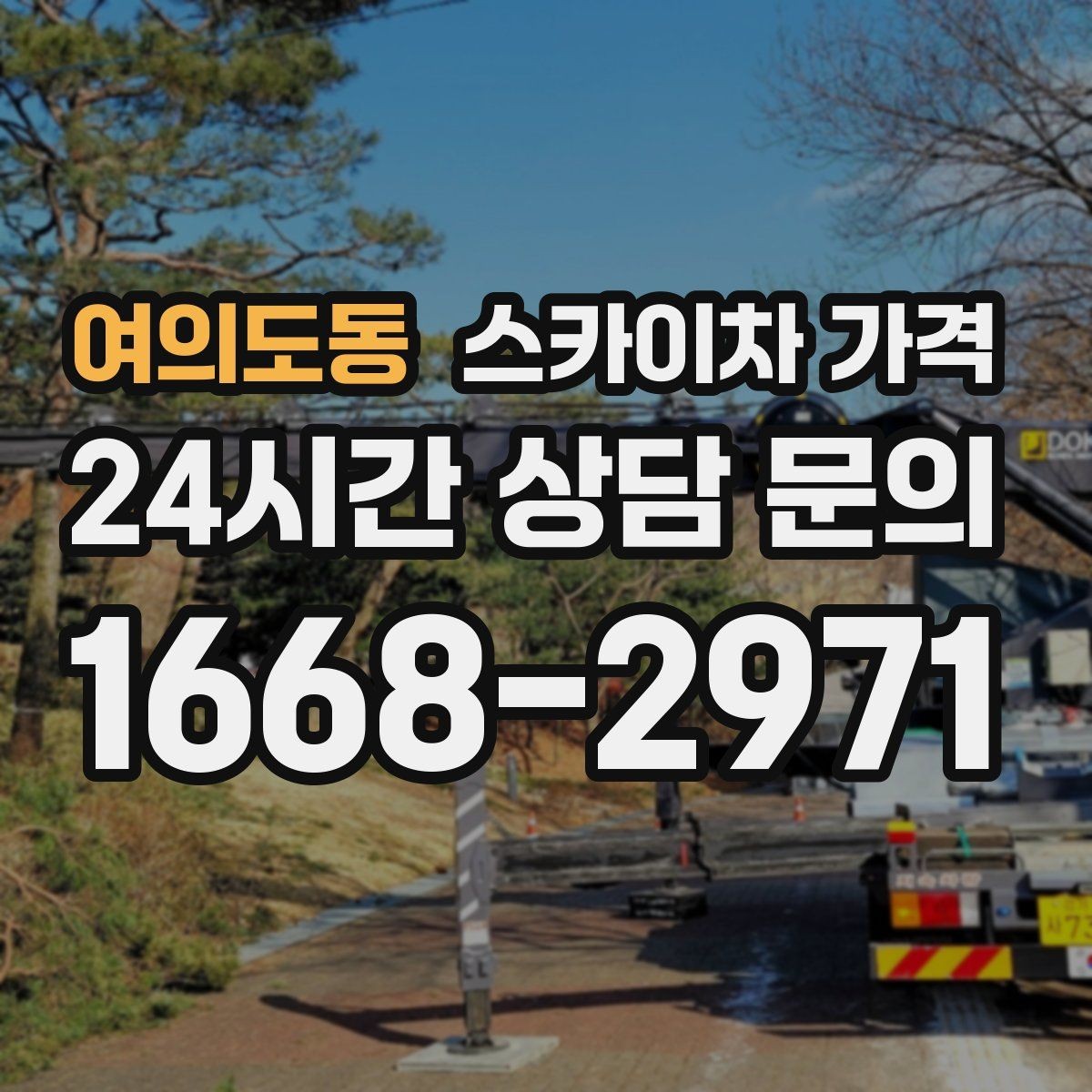 여의도동 스카이차 가격 나무 전지 작업은 가지 위치가 변수가 됩니다