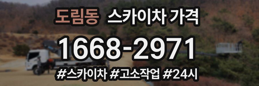 도림동 스카이차 가격