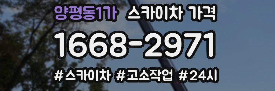 양평동1가 스카이차 가격