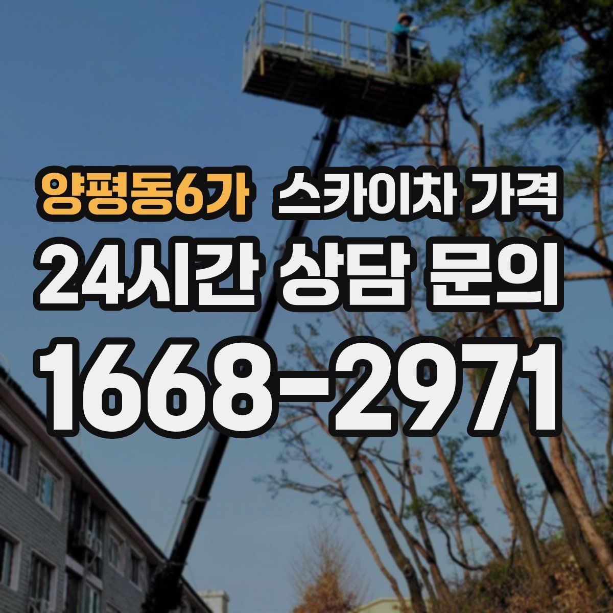 양평동6가 스카이차 가격