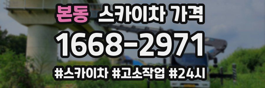 본동 스카이차 가격