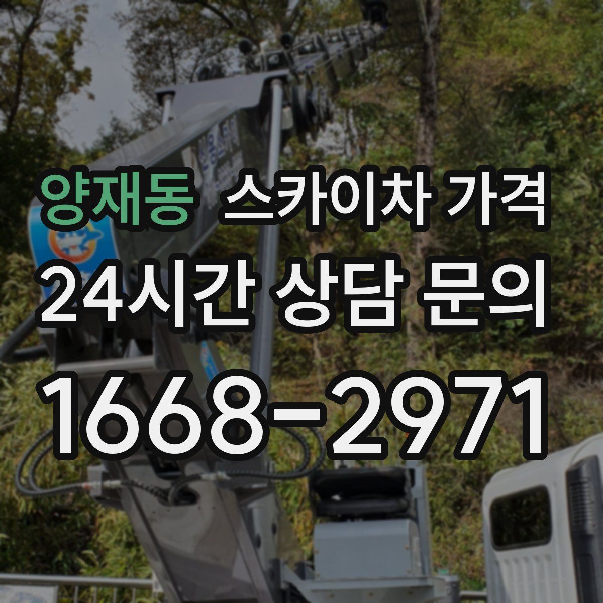 양재동 스카이차 가격